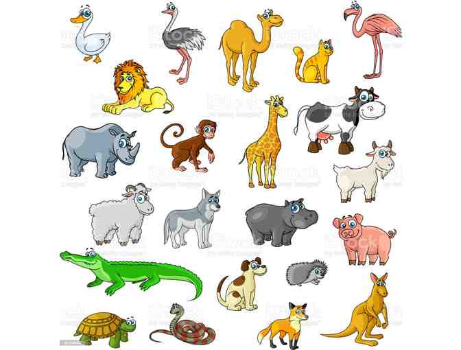 Pet Sitting for 5 nights