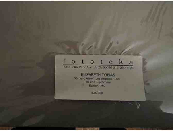 Ground View by Elizabeth Tobias