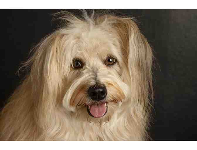 Roclord Studio Photography - An Unconventional Portrait Session in Pasadena