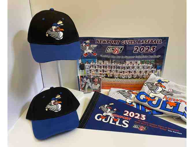 Newport Gulls Baseball - Photo 1