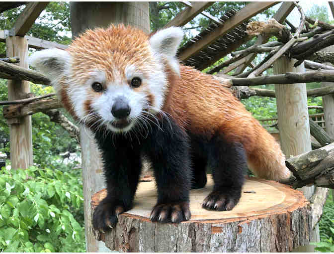 Potter Park Zoo Tickets