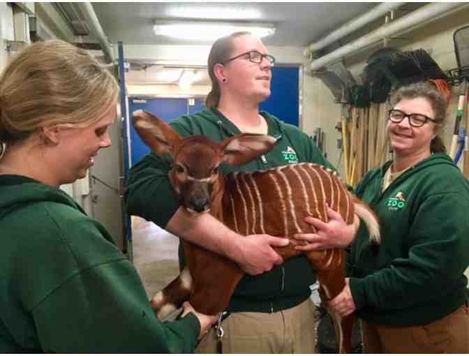 Potter Park Zoo Tickets