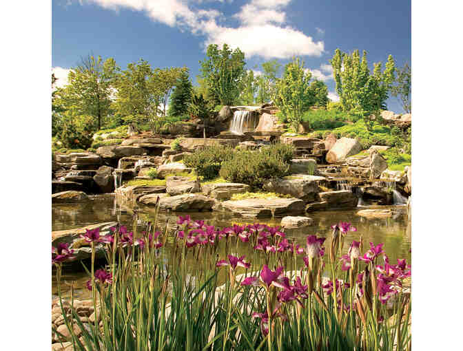 Grand Rapids Getaway