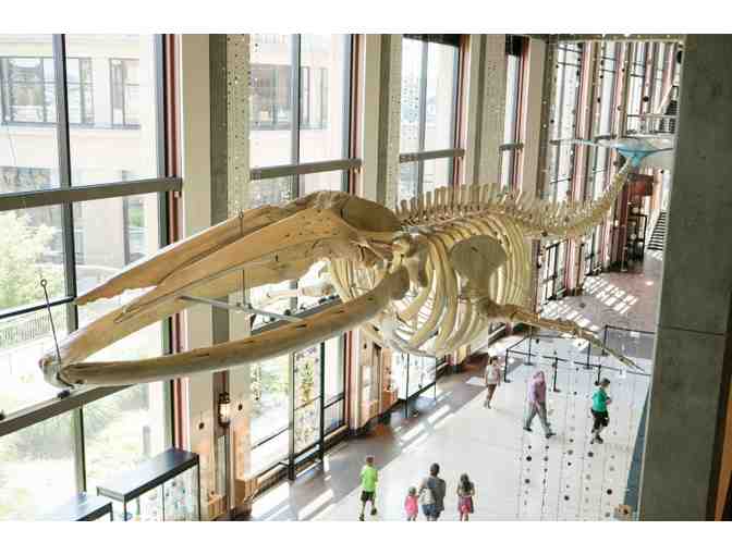 Grand Rapids Getaway