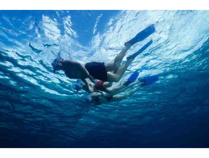 7-10 Night Stay at The Verandah Resort & Spa, Antigua