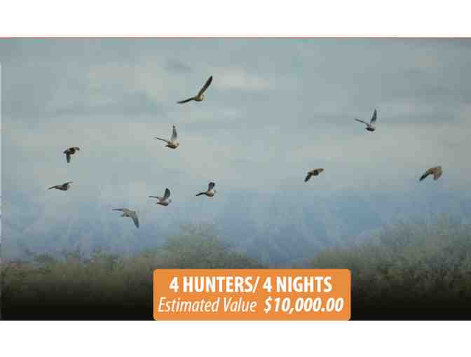 Doves for 4 Hunters, 4 Nights - Photo 2