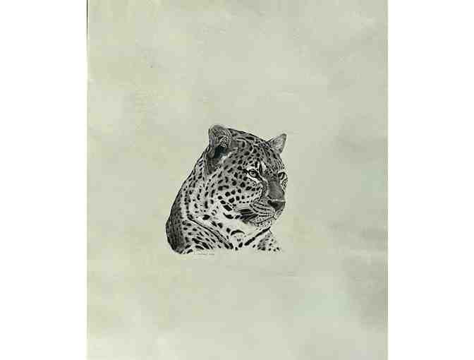 'African Leopord' Original Pencil and Charcoal by Steve Jackson, Kauai