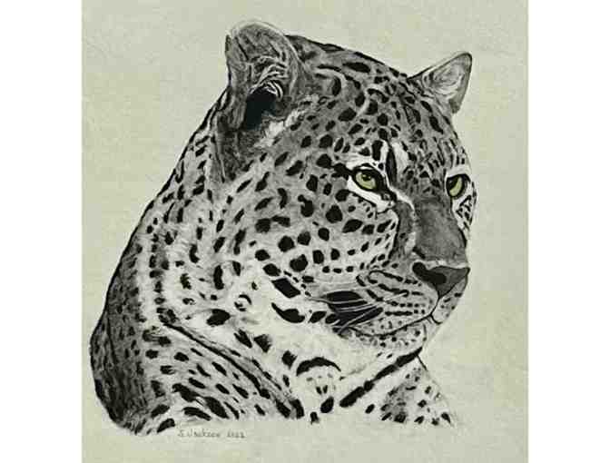 'African Leopord' Original Pencil and Charcoal by Steve Jackson, Kauai