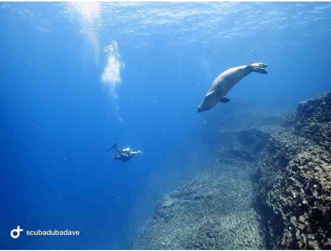 Bubbles Below Scuba Gift Certificate for Ni'ihau Charter or Open Water Certification