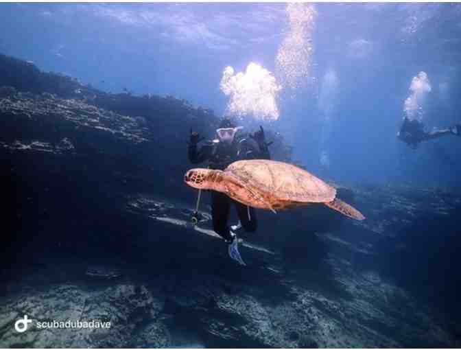 Bubbles Below Scuba Gift Certificate for Ni'ihau Charter or Open Water Certification