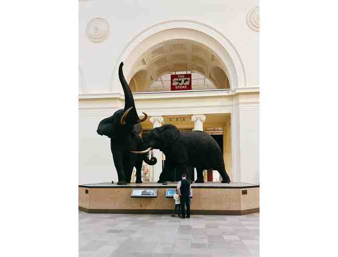4 Passes to The Field Museum of Chicago