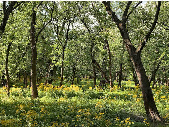 Fun with Teachers: Trailside Museum Adventure with Carima Watkins