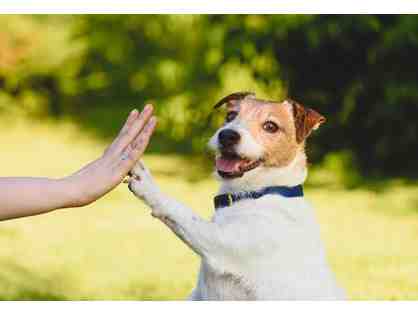 K-9 Waste Removal Services Gift Basket