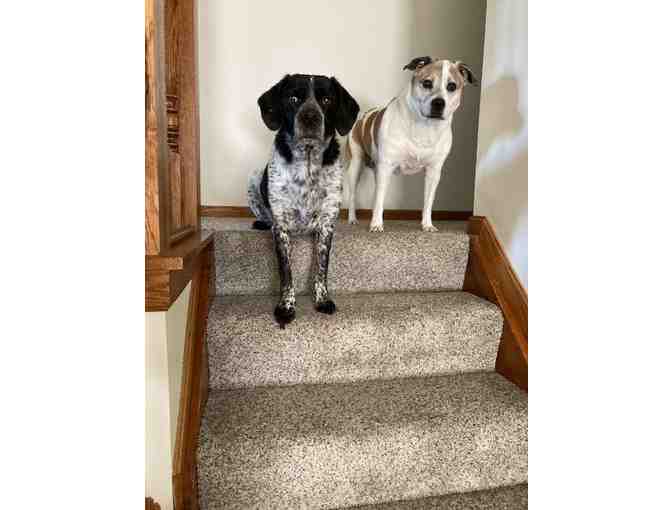 Tito's Autographed Custom Electric Guitar package