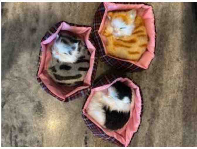 Hello Kitty and other cat collectibles