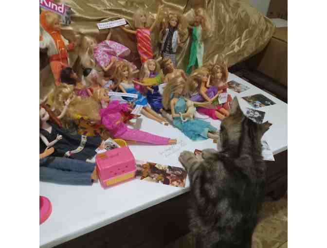 Barbie Doll Collection