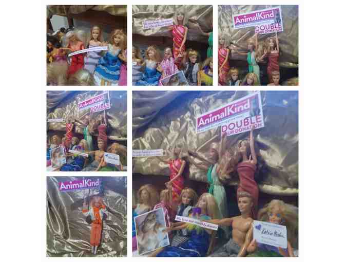 Barbie Doll Collection