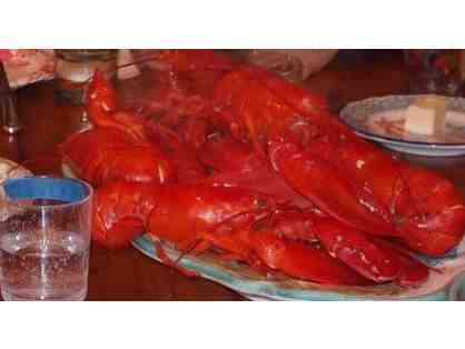 Half Day Lobstering with Dave Pearce and keep what you catch