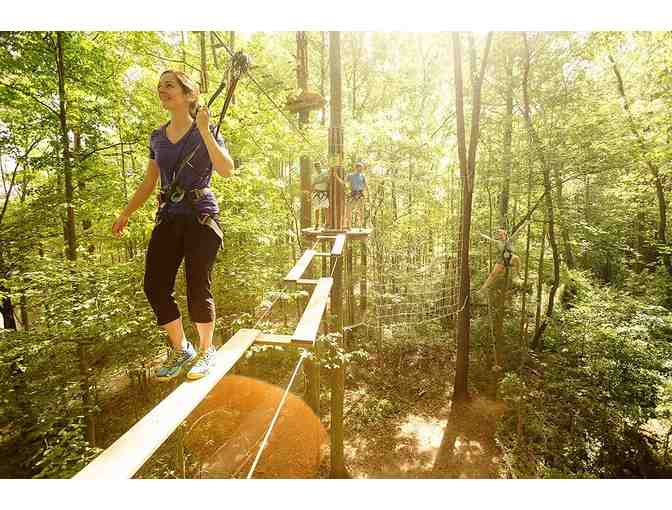 Go Ape Texas (Arlington) Treetop Journey