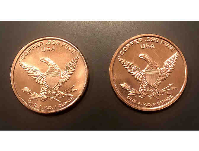 Dinosaur Collectable Coins