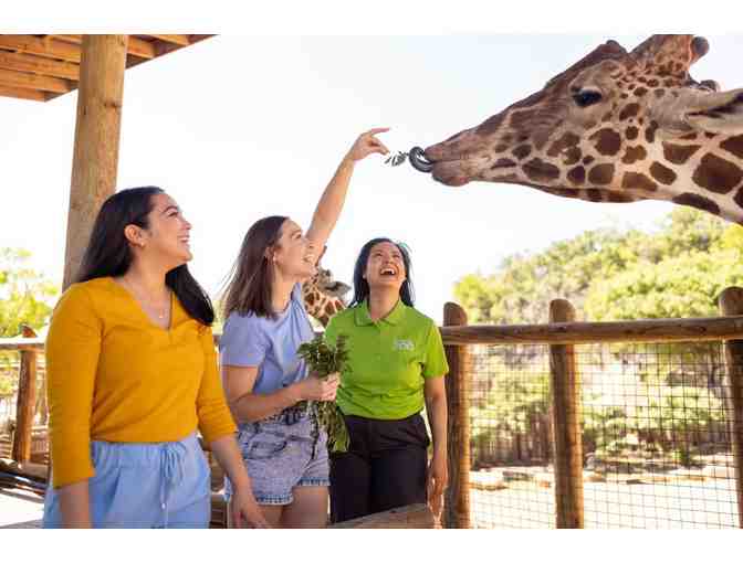Explore the Wild at the San Antonio Zoo &acirc; 4 General Admission Tickets