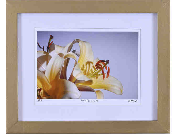 Asiatic Lily #18 (Ken Moran) - Photo 1