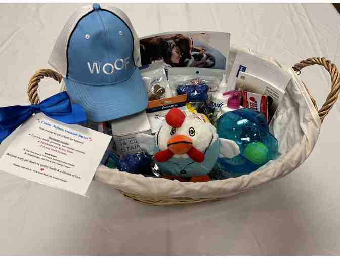Canine Wellness Essentials Basket - Photo 1