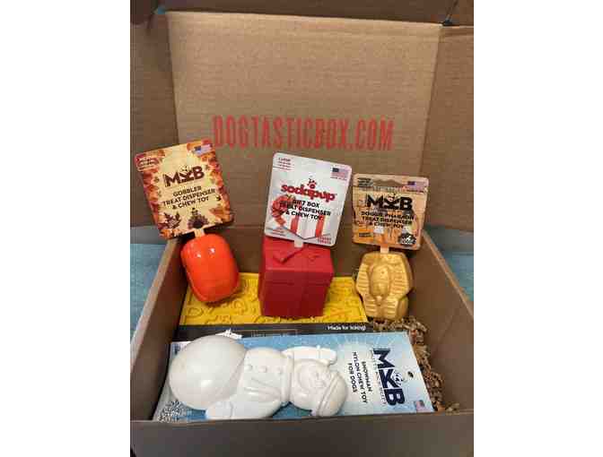 Dogtastic box of goodies - Photo 1