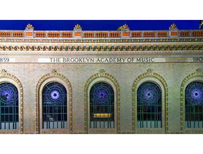 Level 2 Membership to BAM - Photo 2