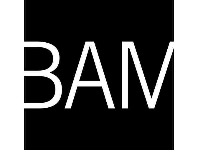 Level 2 Membership to BAM - Photo 3