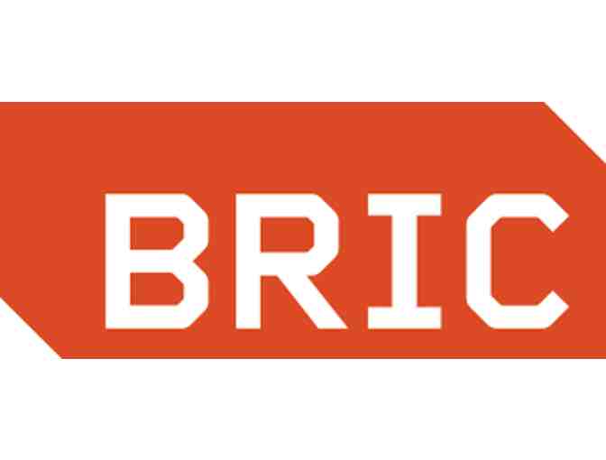 Friend Level Membership to BRIC Arts & Media