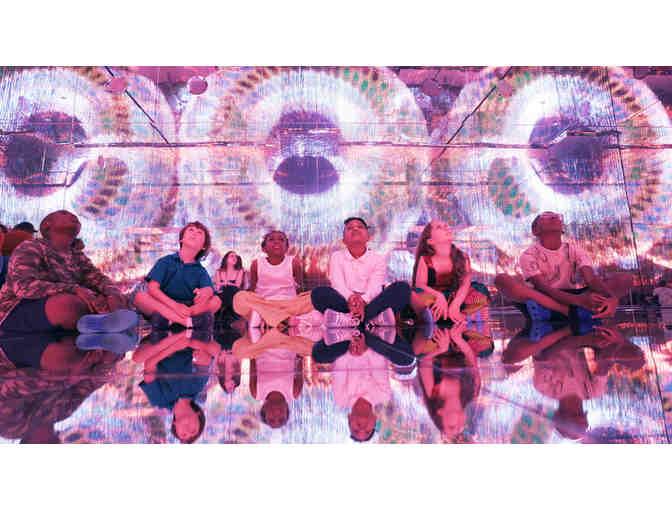 4 Tickets to Mercer Labs