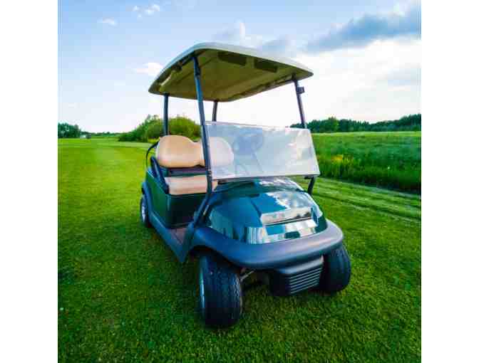 (1) Apex Golf Cart 3-Day Rental