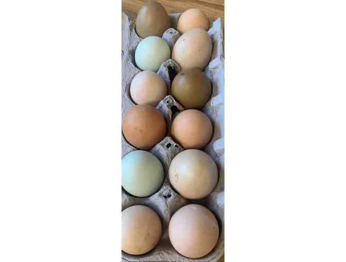 A Dozen Eggs from Compass Raised Chickens! Very Egg-cellent!