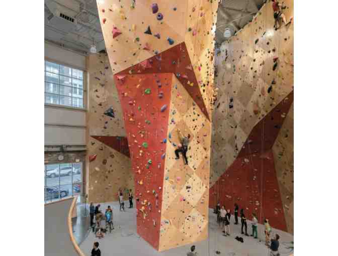 Learn The Ropes Experience - 16 YR + at Brooklyn Boulders