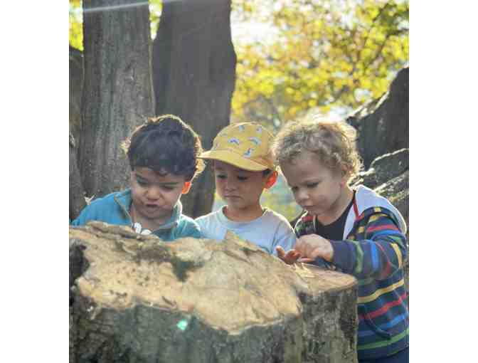 Brooklyn Nature Days - 1 Week of Summer Camp