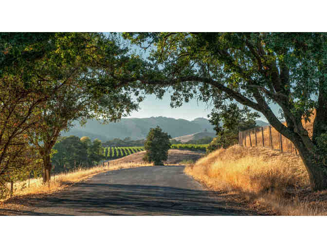 Napa from the Air! Two nights!