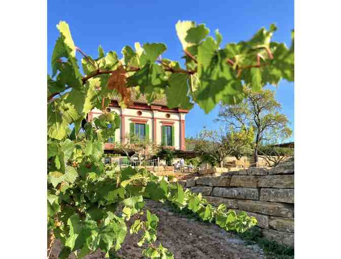 FOUR-Night Exclusive Boutique Winery Getaway to Spain!