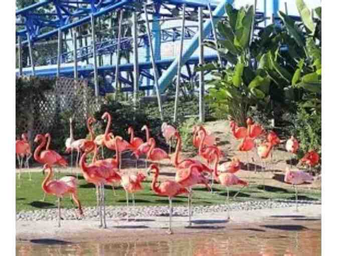 San Diego Zoo or Safari Park tickets for TWO!