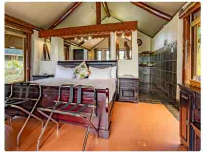 Zulu Nyala Heritage Lodge Photo Safari - South Africa (6 nights for 2 ppl)