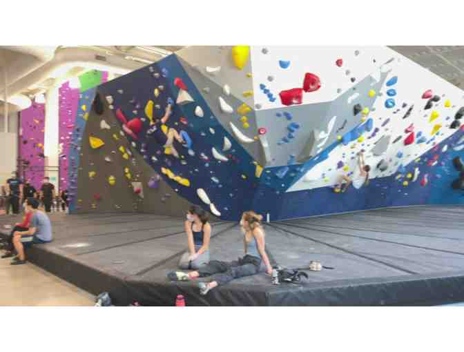 Climb & Shake - Photo 1