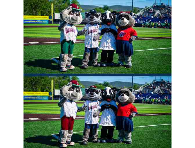 Hudson Valley Renegades Tickets - Photo 2
