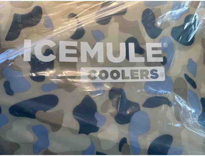 Ice mule backpack and cooler