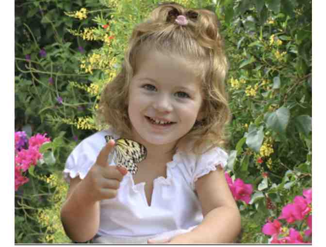 Family Trip to Butterfly World! - Photo 1