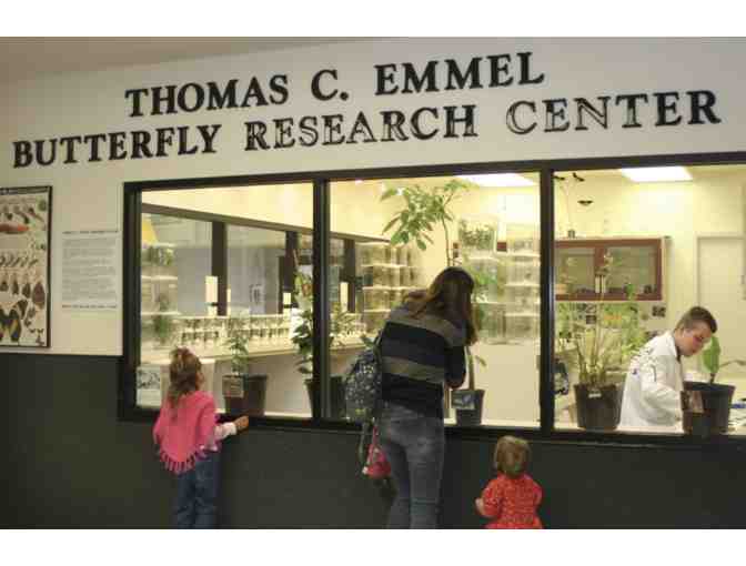 Family Trip to Butterfly World! - Photo 2