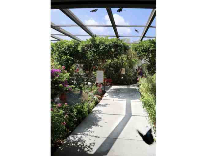 Family Trip to Butterfly World! - Photo 3