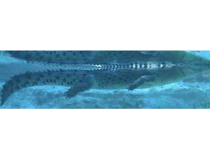 A Day in St. Augustine, Florida! - Photo 1