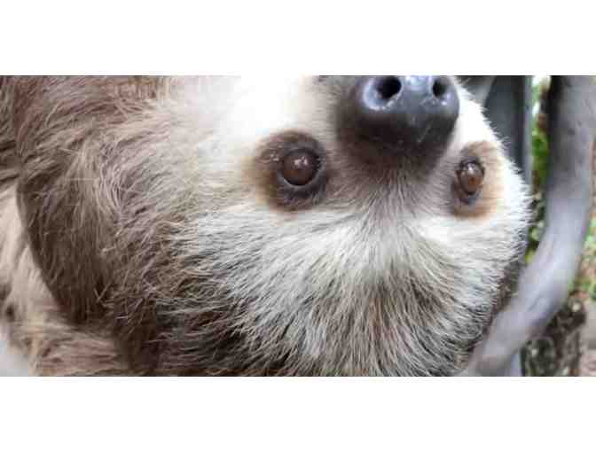 A Day in St. Augustine, Florida! - Photo 2