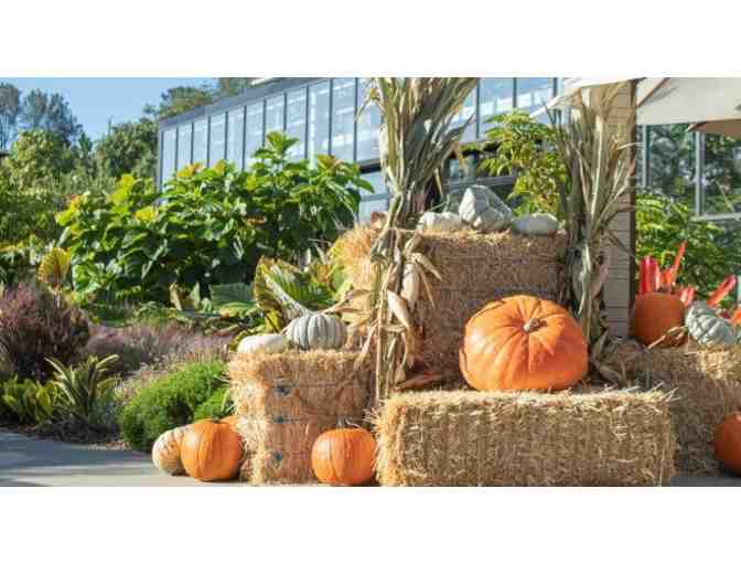 Succulent Sculpture and four (4) Tickets to San Diego Botanic Garden