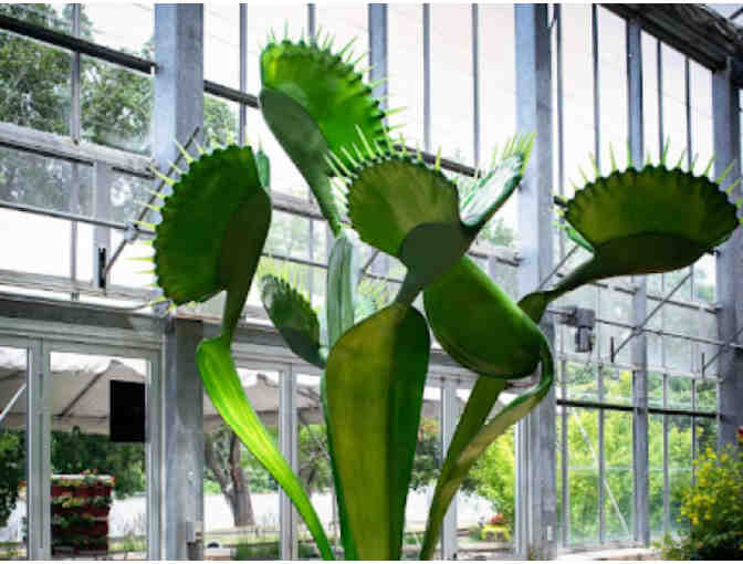 Succulent Sculpture and four (4) Tickets to San Diego Botanic Garden